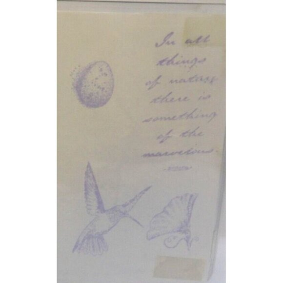 COPY - Birds Set of 7 Unmounted Stamps Unbranded #T907 Wren, Cardinal, Hummingb… - Picture 4 of 8